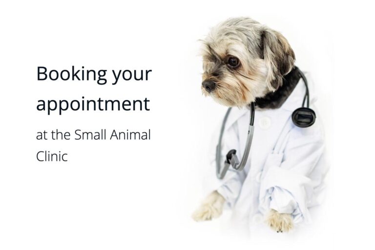 Booking your appointment at the Small Animal Clinic Small Animal Clinic