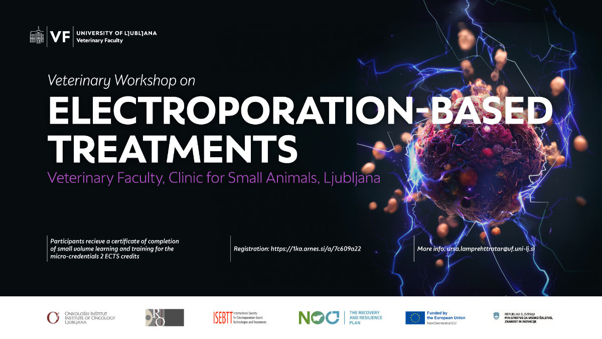 veterinary-workshop-on-electroporation-based-treatments-en